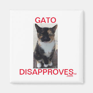Magnet, Gato Disapproves, All Caps Magnet