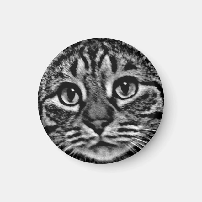 Magnet - General Tso, Black and White (Front)