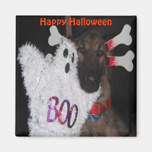 Magnet German Shepherd Halloween Boo