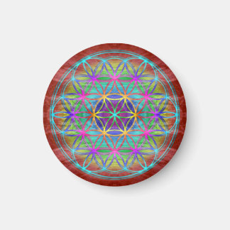 Magnet ~ Healing~Energy Flower Of Life