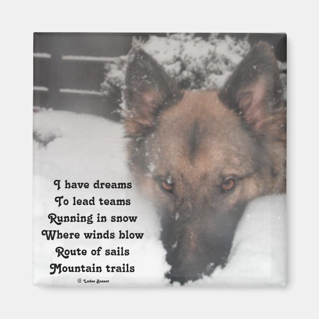 Magnet I Have Dreams Poem By Ladee Basset (Front)