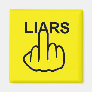 Magnet Liars Flip