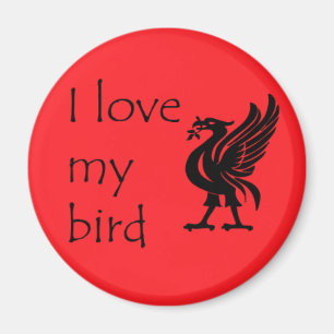 Magnet - Liverpool Liverbird