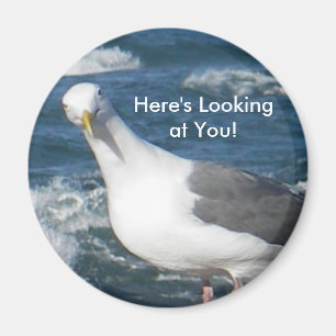 Magnet:  Looking Gull Magnet