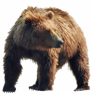 Magnet Photo Sculpture of grizzly bear