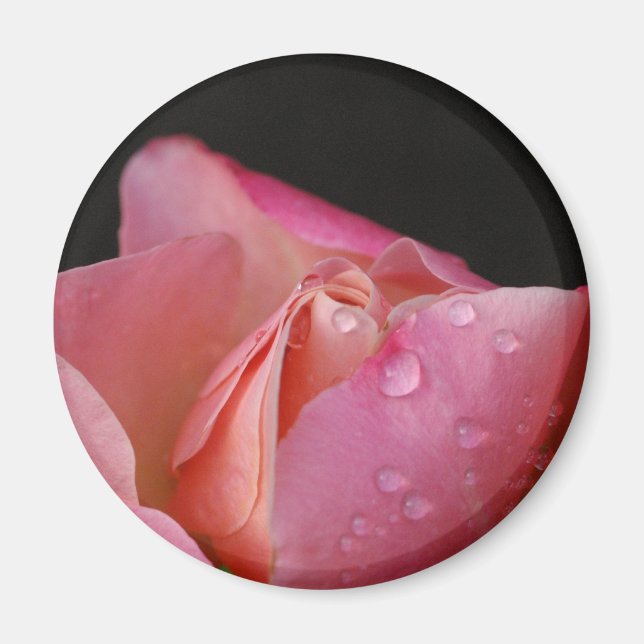 Magnet - Pink Rose Bud (Front)