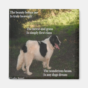 Magnet Poem Any Dogs Dream Ladee Basset