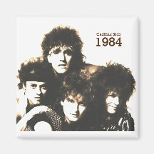 Magnet refrigerator 2