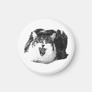 Magnet Smile, Feline Pop