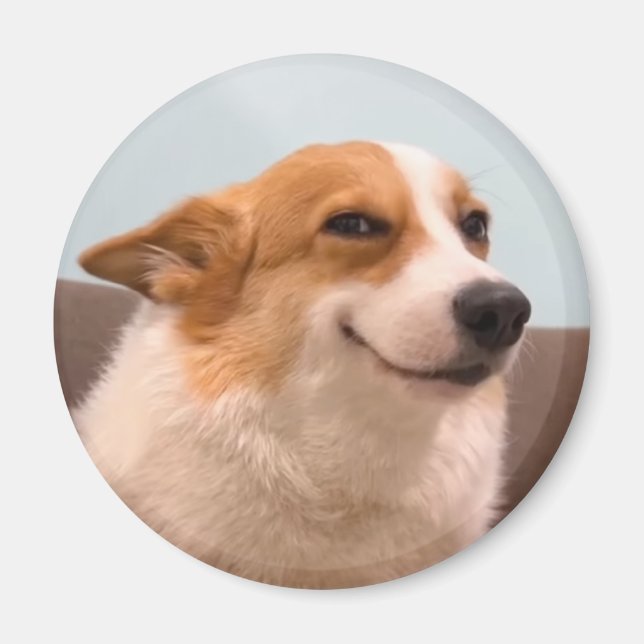 Magnet Smiling Corgi Meme (Front)