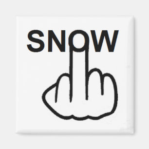 Magnet Snow Flip