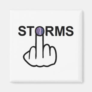 Magnet Storms Flip