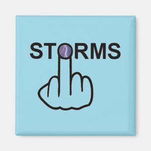 Magnet Storms Flip