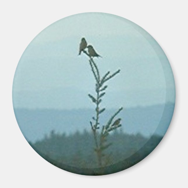 Magnet - Top of World (Front)