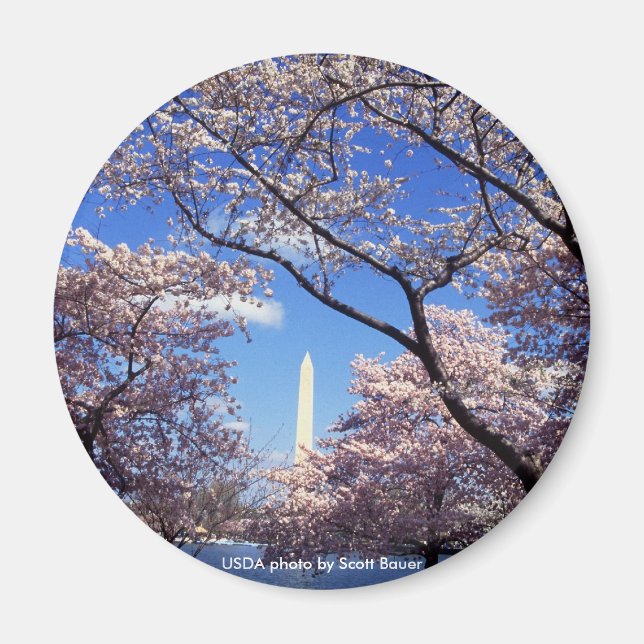 Magnet / Washington Monument (Front)