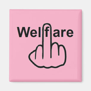 Magnet Welfare Flip