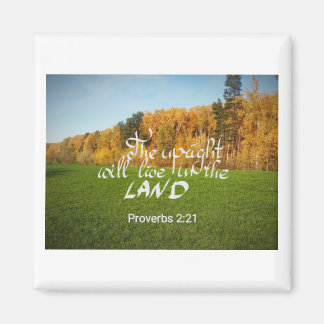 Magnet with a bible verse