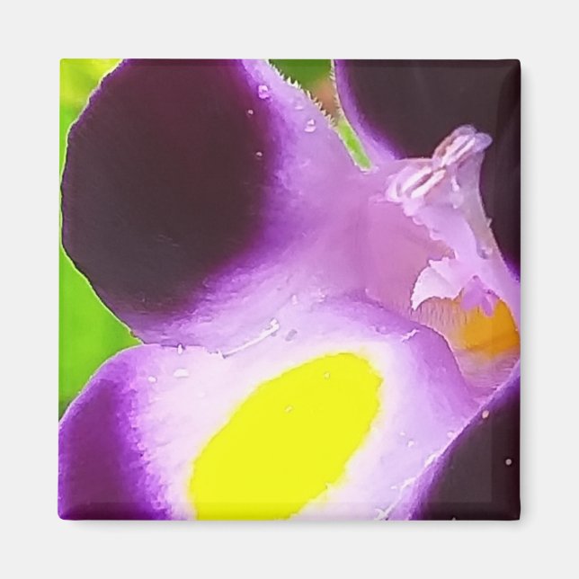 Magnet with a natural flower (Front)