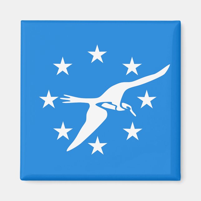 Magnet with Flag of Corpus Christi, Texas, USA (Front)