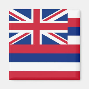 Magnet with Flag of  Hawaii State - USA