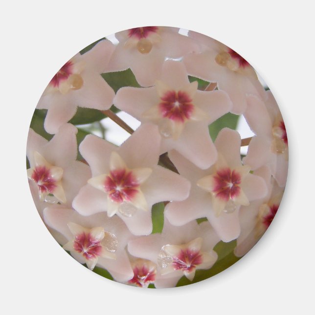 Magnet with flowers (Front)