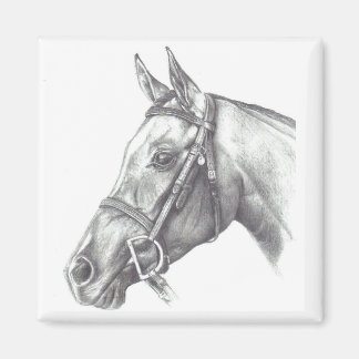 MAGNET WITH HORSE HEAD