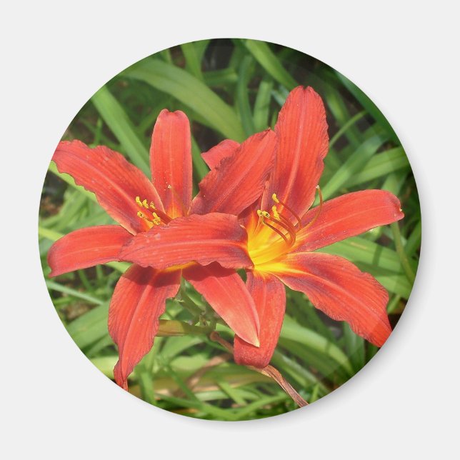 Magnet with lily flowers (Front)
