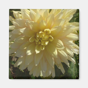 magnet "Yellow Dahlia" by artist Jan Turner