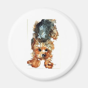 magnet - Yorkshire Terrier