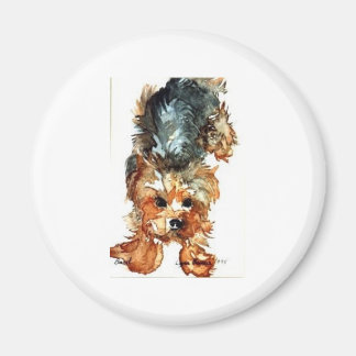 magnet - Yorkshire Terrier