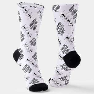 Magnetic Anomalies Inside Geomagnetic Polarity Socks