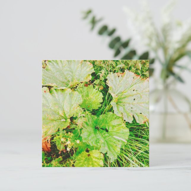 Magnetic Card (Standing Front)