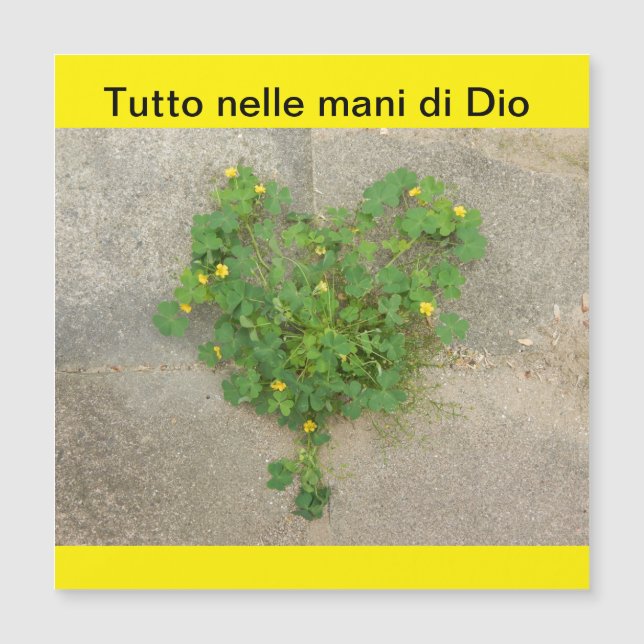 Magnetic Card (Front)