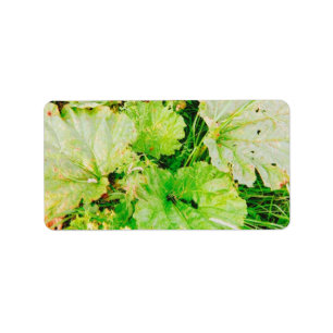Magnetic Card Label
