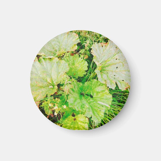 Magnetic Card Magnet (Front)