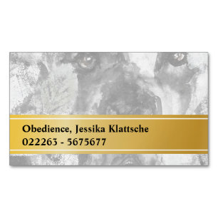 Magnetic Cards