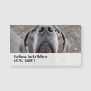 Magnetic Cards Dognose