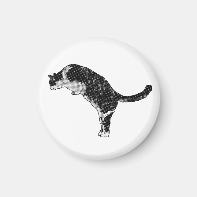 Magnetic Cat Detail Magnet (Front)
