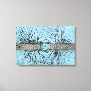Magnetic Field Illustrated Using Iron Filings Arou Canvas Print