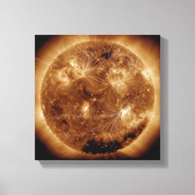 Magnetic field lines on the Sun 2 Canvas Print (Front)