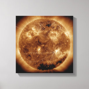 Magnetic field lines on the Sun 2 Canvas Print