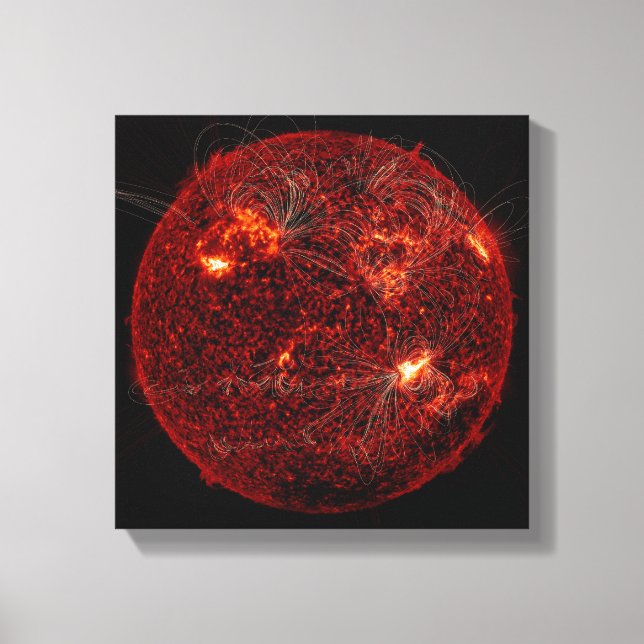 Magnetic field lines on the Sun 3 Canvas Print (Front)