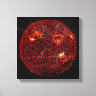 Magnetic field lines on the Sun 3 Canvas Print
