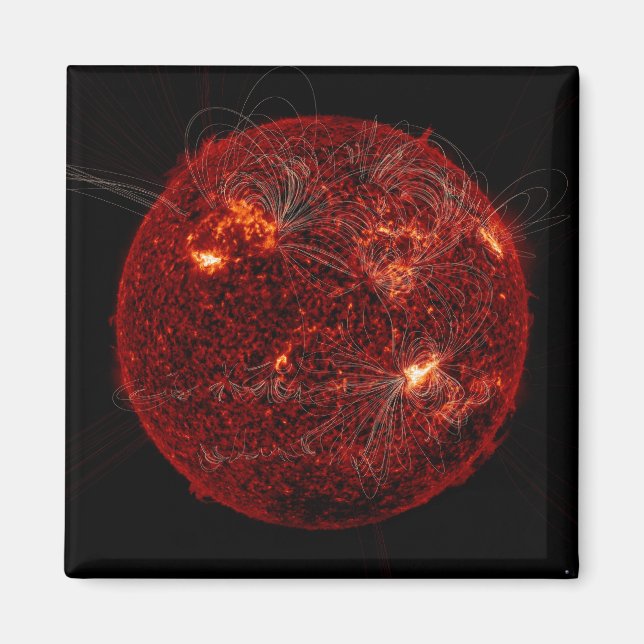 Magnetic field lines on the Sun 3 Magnet (Front)
