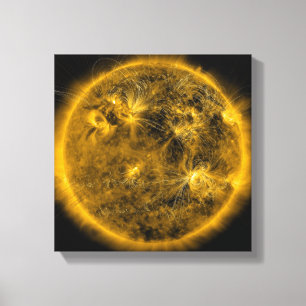 Magnetic field lines on the Sun Canvas Print