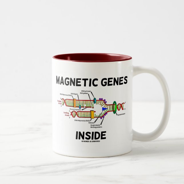 Magnetic Genes Inside (DNA Replication) Two-Tone Coffee Mug (Right)
