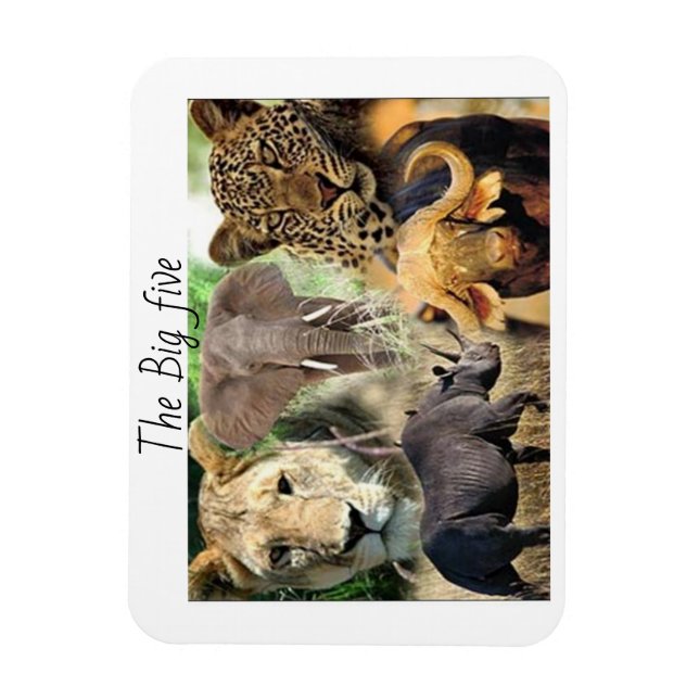 magnets kenya big five (Vertical)