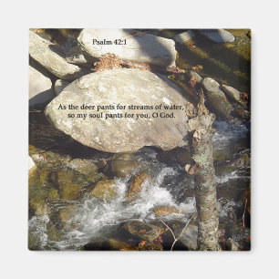 Magnets: Stream Psalm Magnet