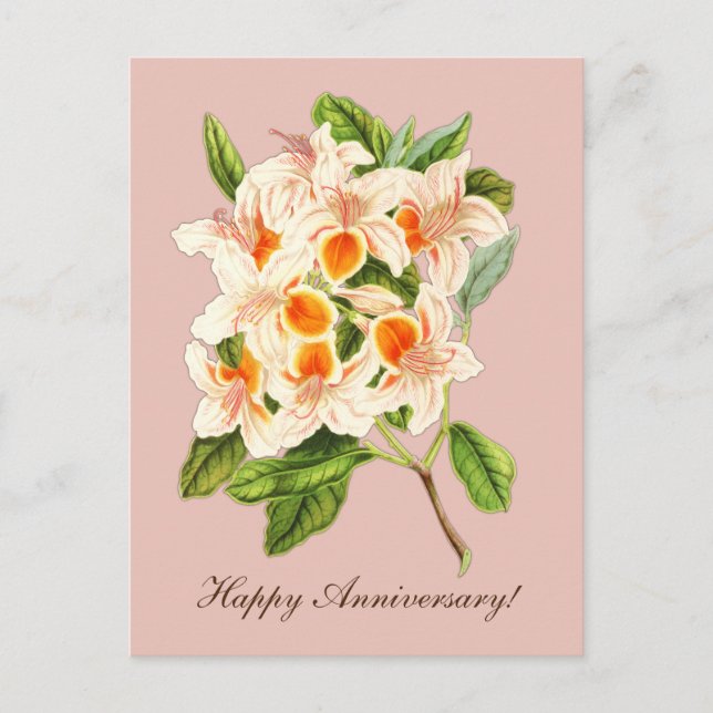 Magnificent azalea, Anniversary Postcard (Front)