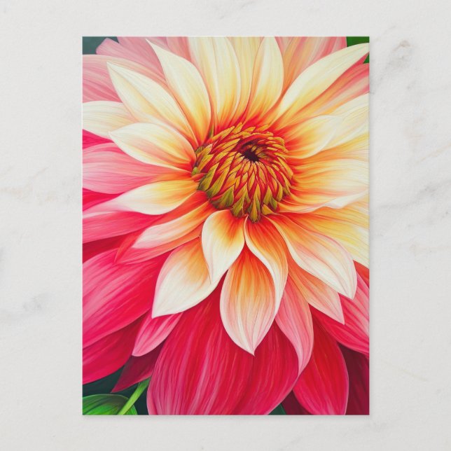 Magnificent Blush Rose and Pink Dahlia Postcard (Front)